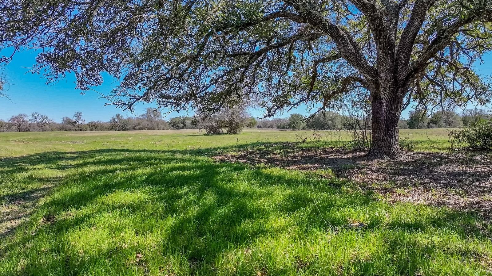commercial drone services Houston aerial view of open land and tree landscape