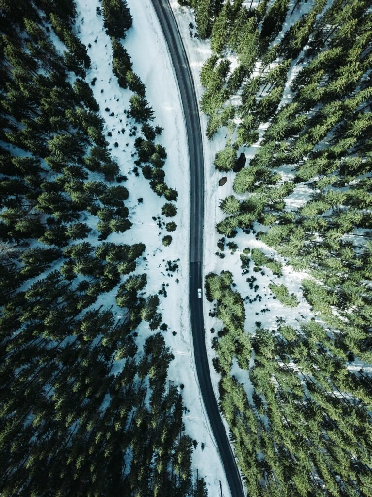 Forest roadway aerial survey captured with drone mapping services Houston technology
